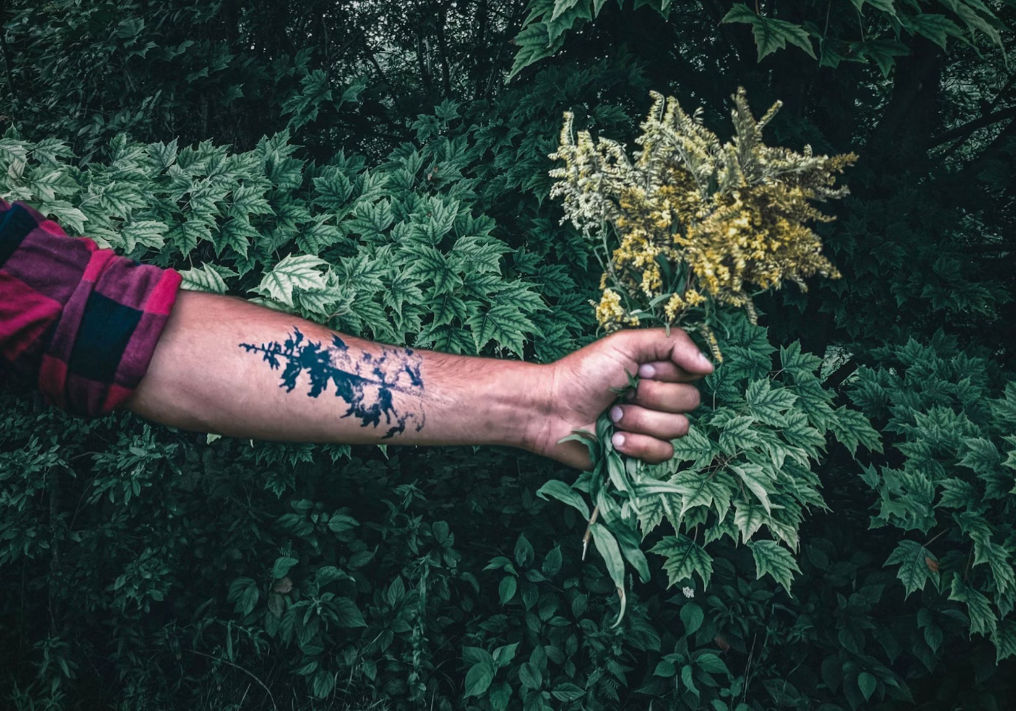 Nature-inspired tattoo (Unsplash/ Ali Kazal)