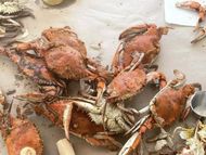 Crabs from Tyler's Tackle Shop and Crabhouse(Image via Instagram/@heathandrobertson)