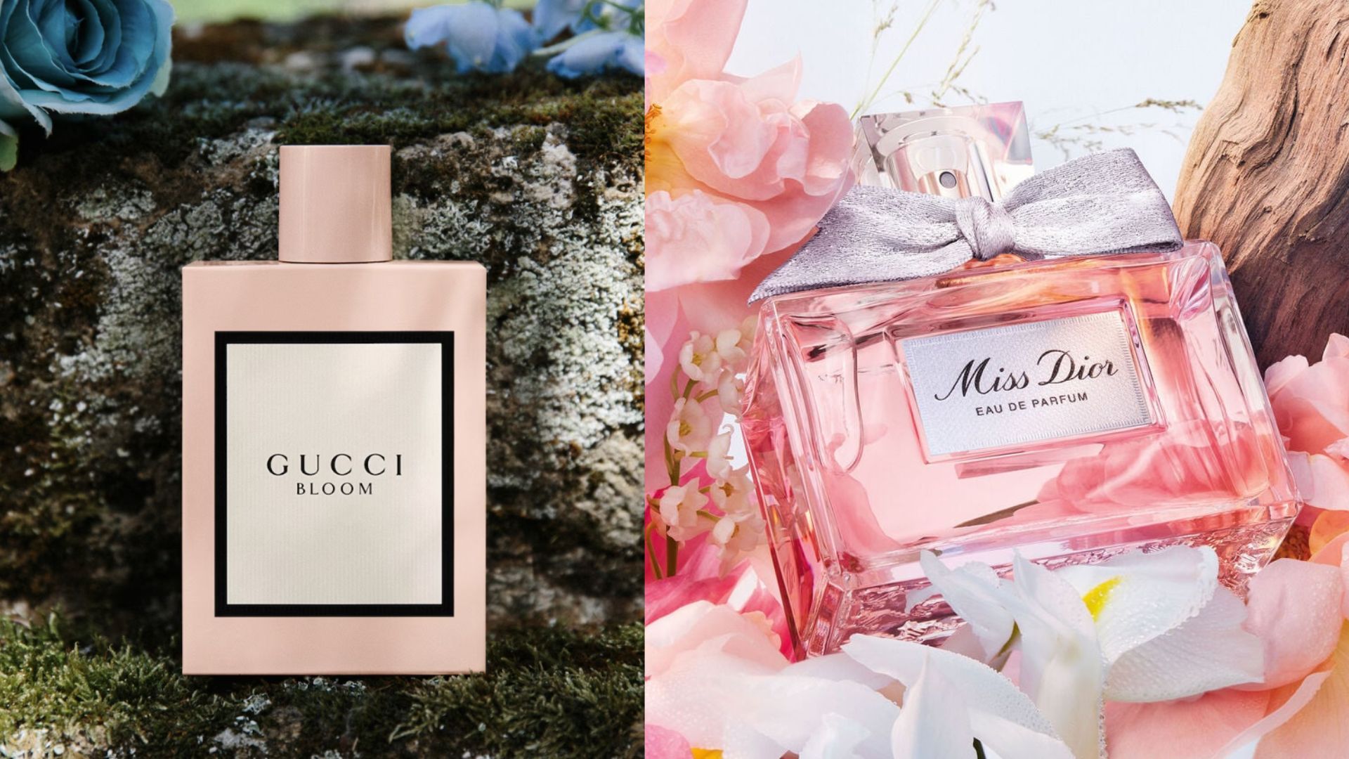 Best womens perfumes to try in 2025