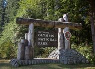 Olympic National Park (Image via Getty / George Rose)