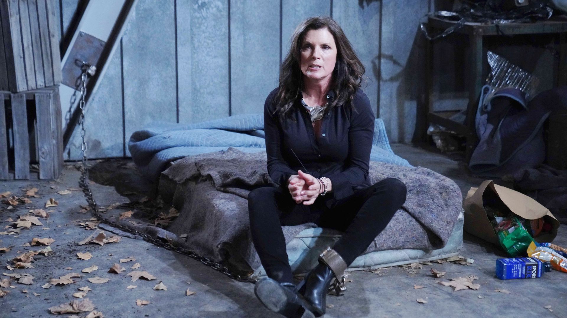 The Bold and the Beautiful: Sheila played by Kimberlin Brown| Image Source: JPI