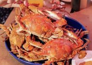 Crabs (Image via Instagram/@mikescrabhouse_north)