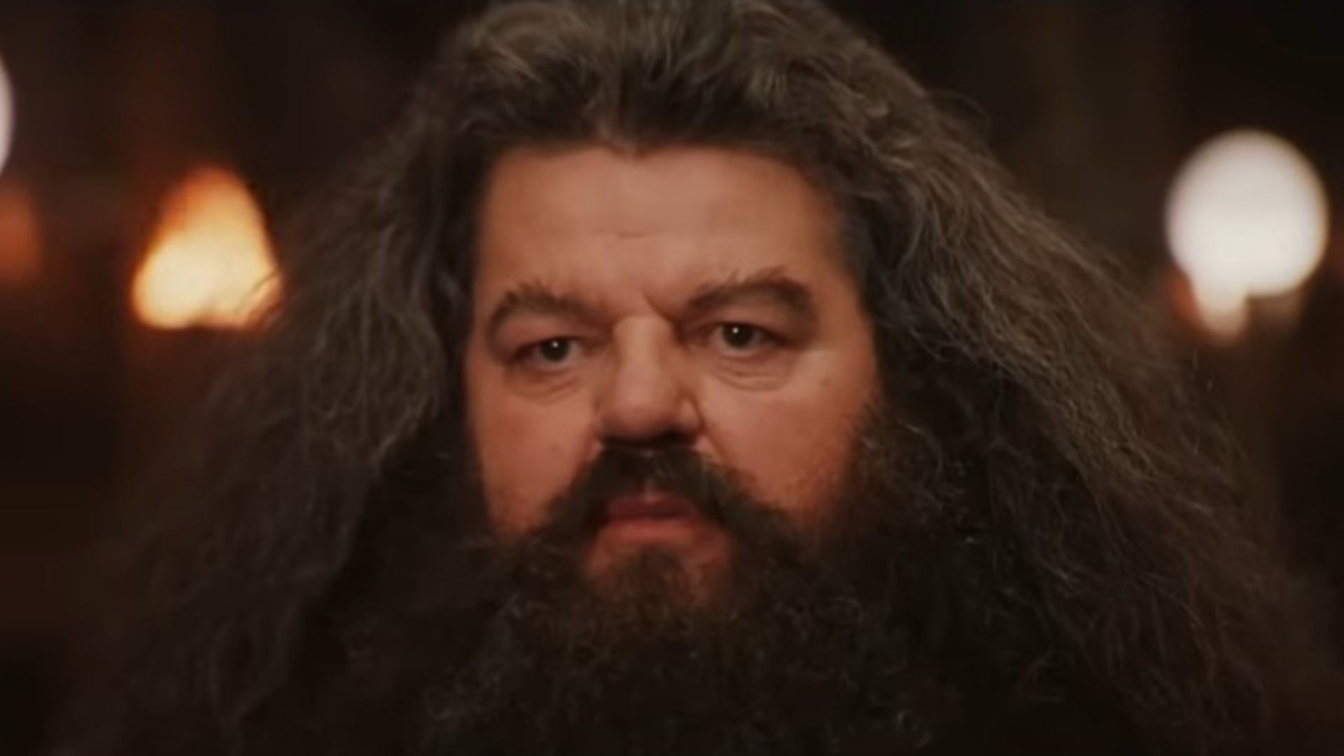 Hagrid in Harry Potter and the Sorcerer&#039;s Stone | Image via: Warner Bros. Pictures