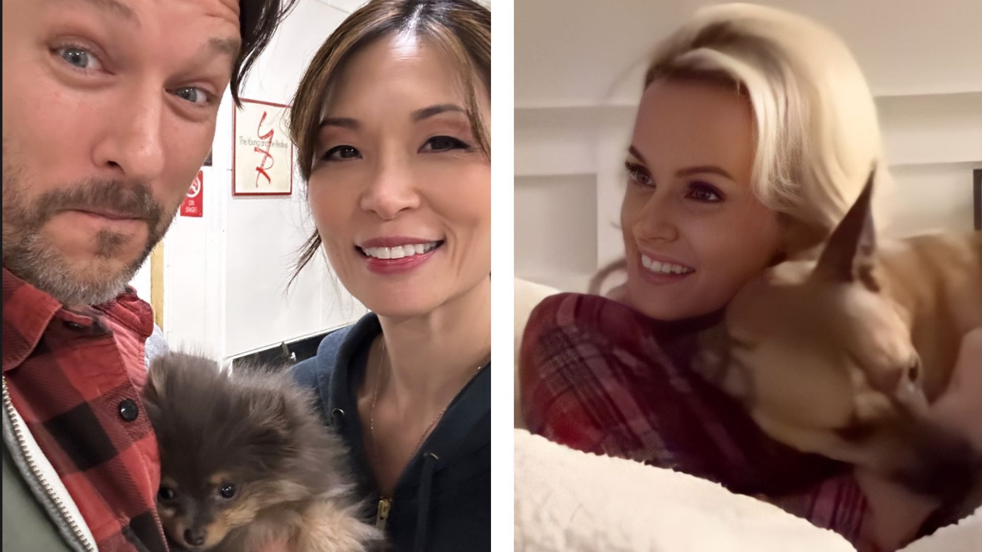 The Young and the Restless: CBS stars and their pets | Image: Instagram