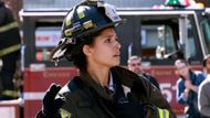 Stella Kidd hasn't left the Firehouse (Image Source: NBC)