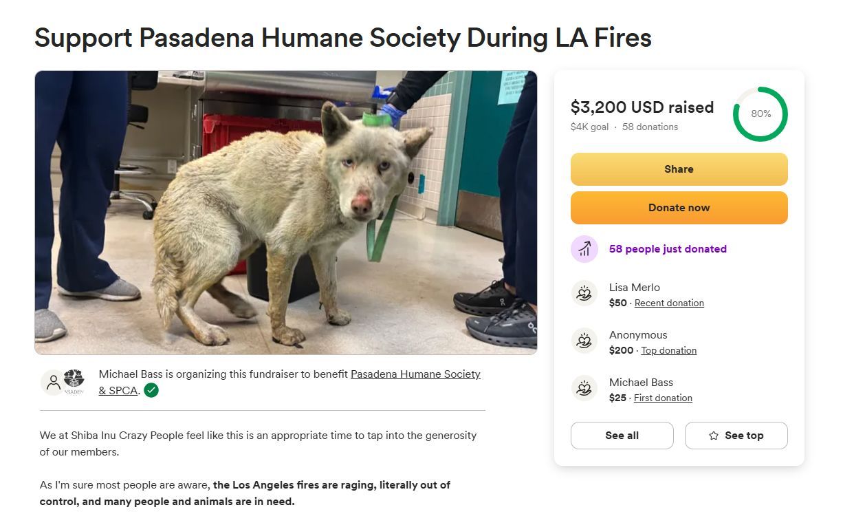 Support Pasadena Humane Society During LA Fires (Images via GoFundMe)