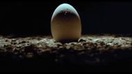 Scene from Alien | Image via Rotten Tomatoes