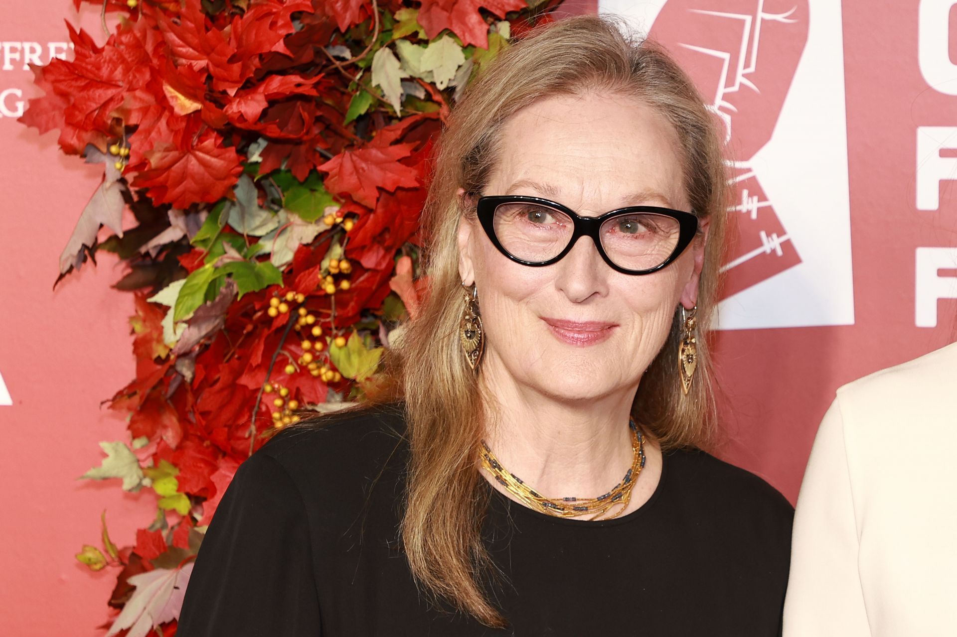 Meryl Streep (Photo by Arturo Holmes/WireImage)