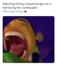 Stranger Things memes
