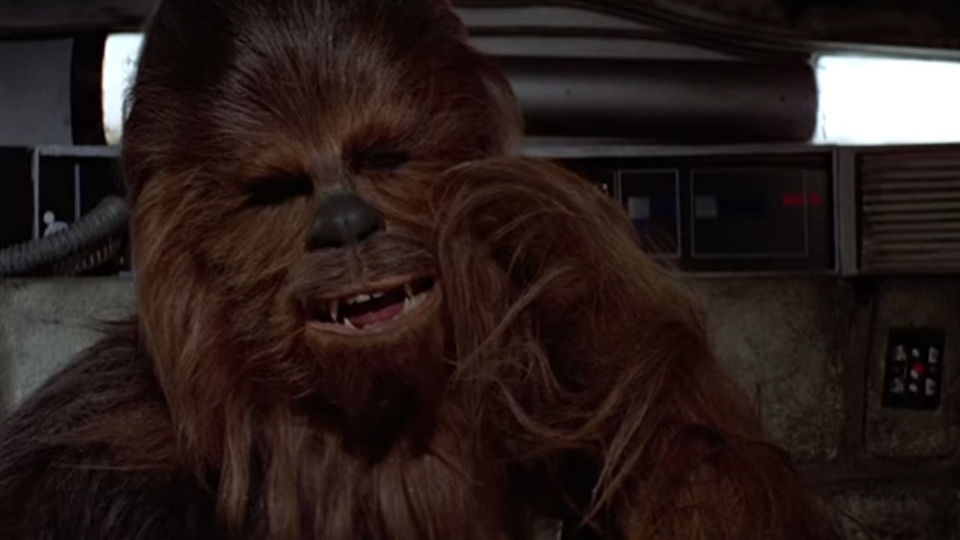 Chewbacca in Star Wars: Episode IV &ndash; A New Hope (1977) | Image via: Lucasfilm Ltd.