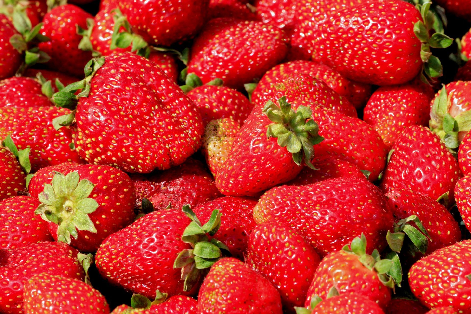 Brampton Farmers&#039; Market In Brampton - Source: Getty