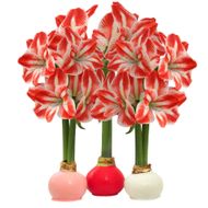 Flowers (Image via Costco)