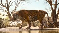 Scene from The Jungle Book | Image via Disney