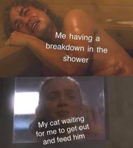 Stranger Things memes