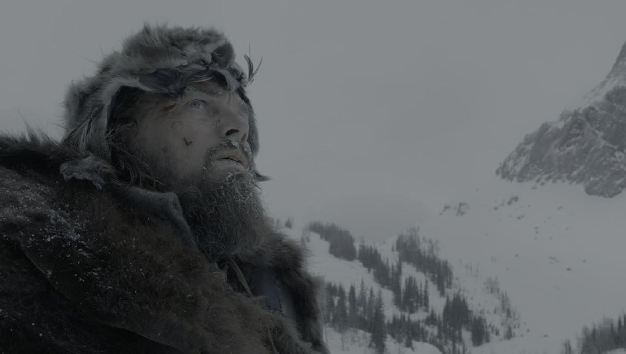 The Revenant, Image Source - 20th Century Fox