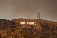 Hollywood Exteriors And Landmarks - 2025 - Source: Getty