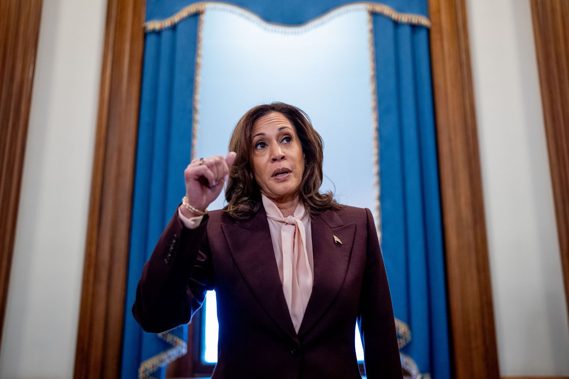 Kamala Harris has issued a statement after the wildfires broke out in Southern California (Image via Andrew Harnik/Getty Images)