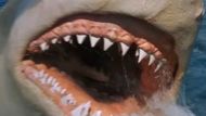 Jaws: The Revenge | Image via: Universal Pictures