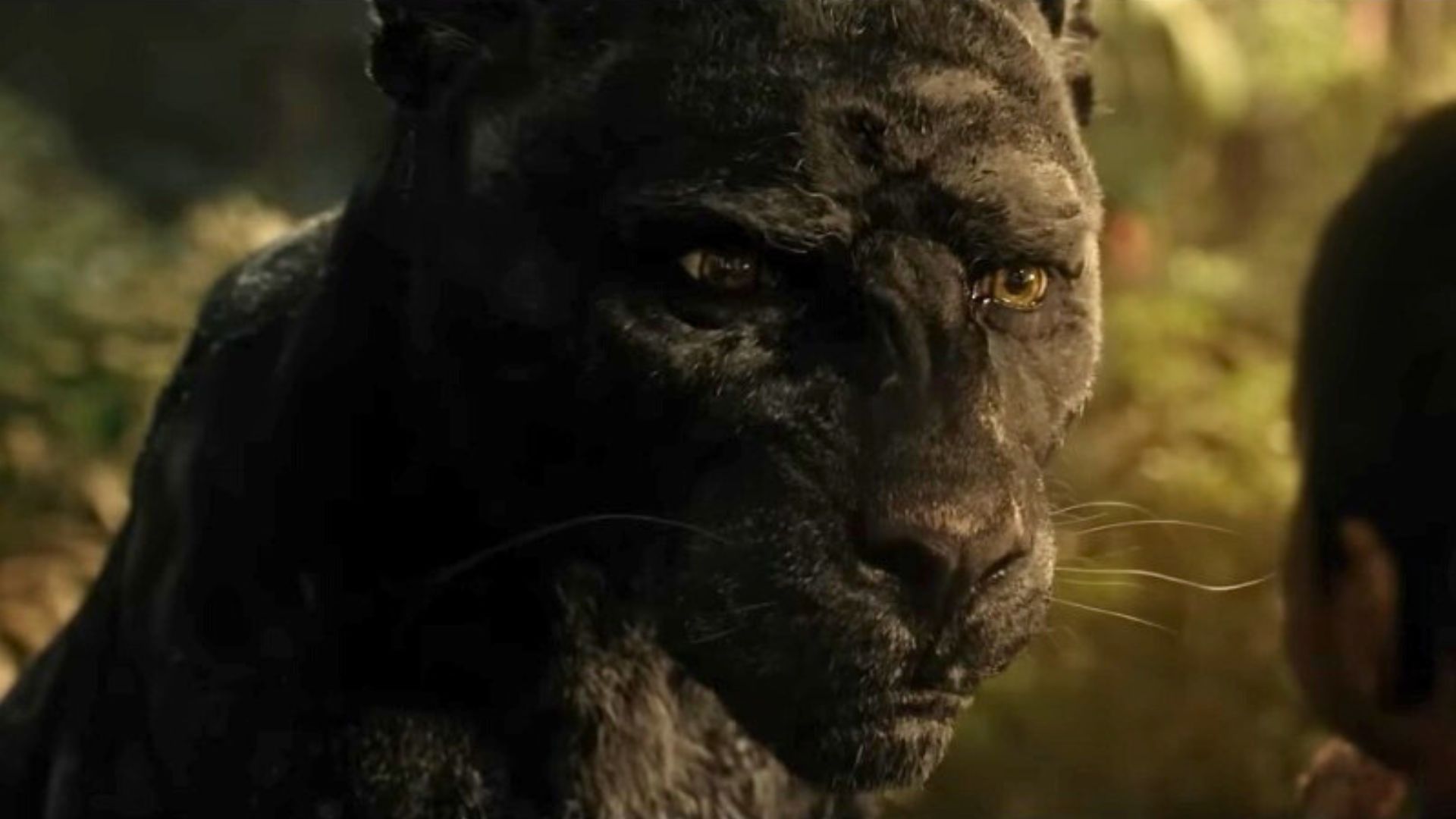 Mowgli: Legend of the Jungle | Image via: Warner Bros. Pictures