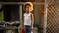 Beasts of the Southern Wild (2012) | Image Source: Fox Searchlight Pictures