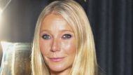 Gwyneth Paltrow (Image via Getty)