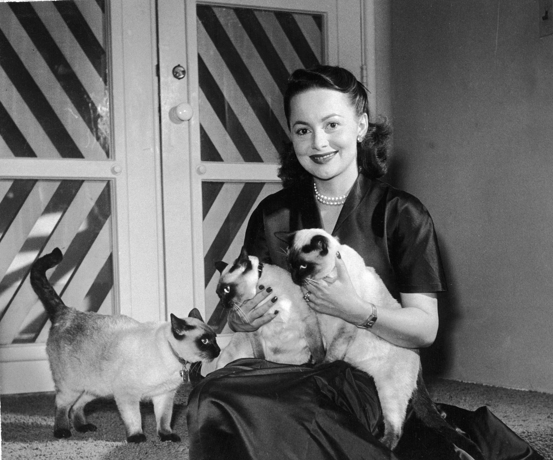 Actress Olivia de Havilland - Source: Getty