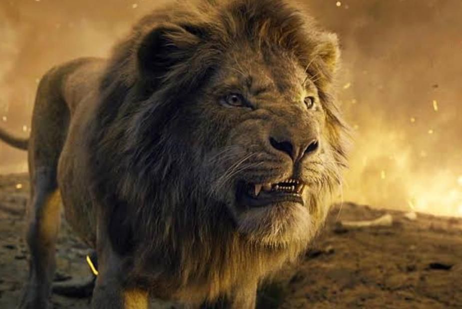 The Chronicles of Narnia: The Lion, the Witch and the Wardrobe (2005) | Image Source: Walt Disney Pictures