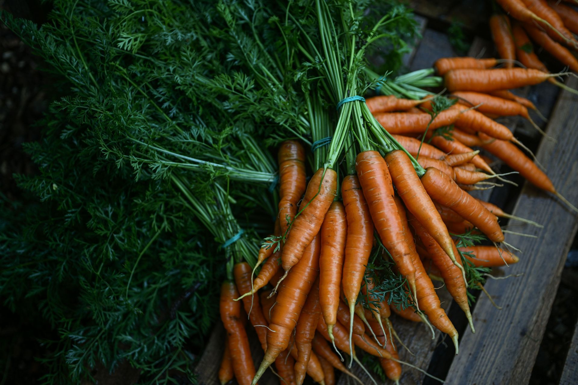 Krakow&#039;s Regenerative organic farm provides fresh vegetables for citizens - Source: Getty