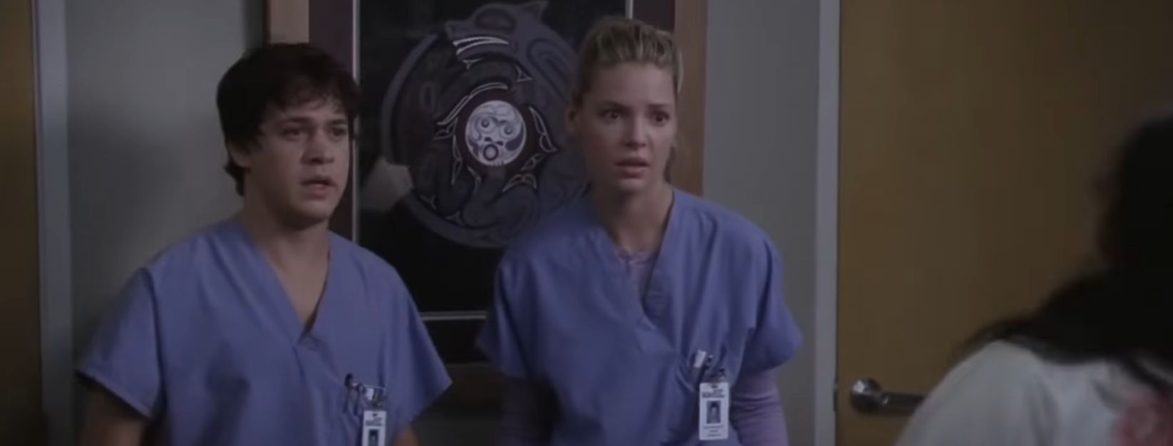 Who is Dr Izzie Stevens in Grey&#039;s Anatomy​?