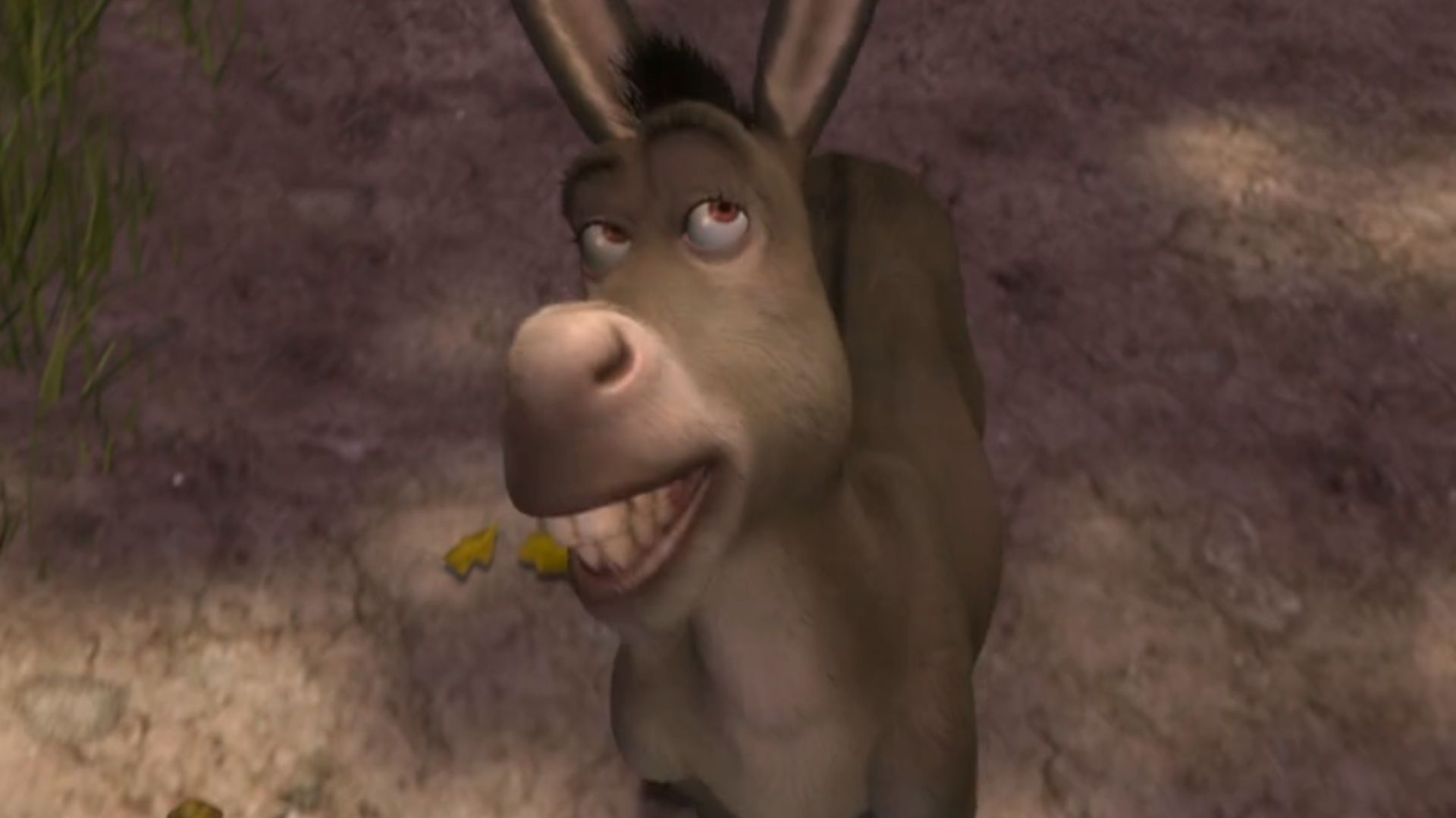 Donkey from Shrek | image via DreamWorks Pictures