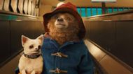 Paddington (2014) | Image Source: StudioCanal
