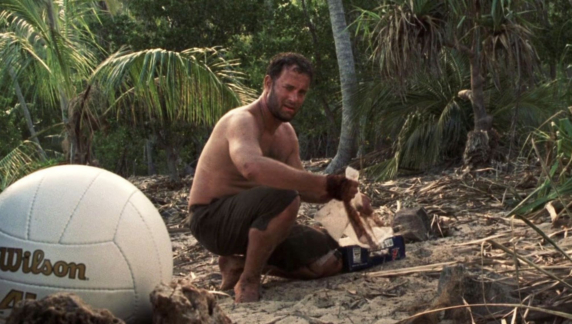 Cast Away, Image Source - 20th Century Fox &amp; DreamWorks Pictures