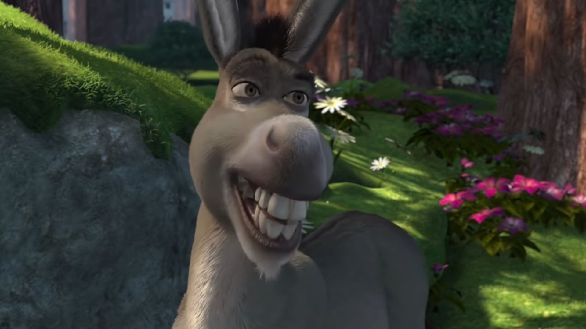 Donkey in Shrek (2001) | Image via: DreamWorks Animation