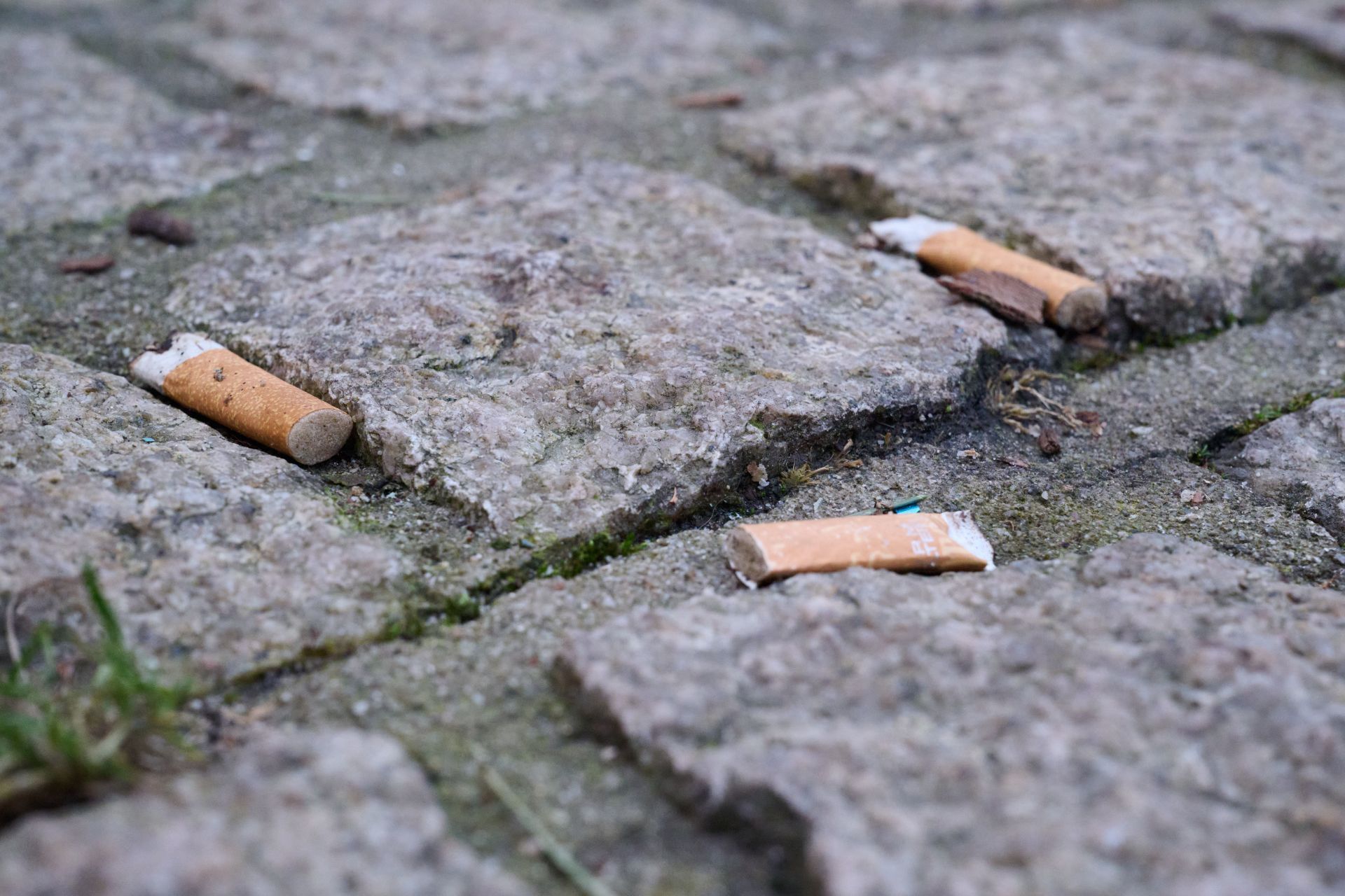 Smoking ban for public events in Holzwickede - Source: Getty