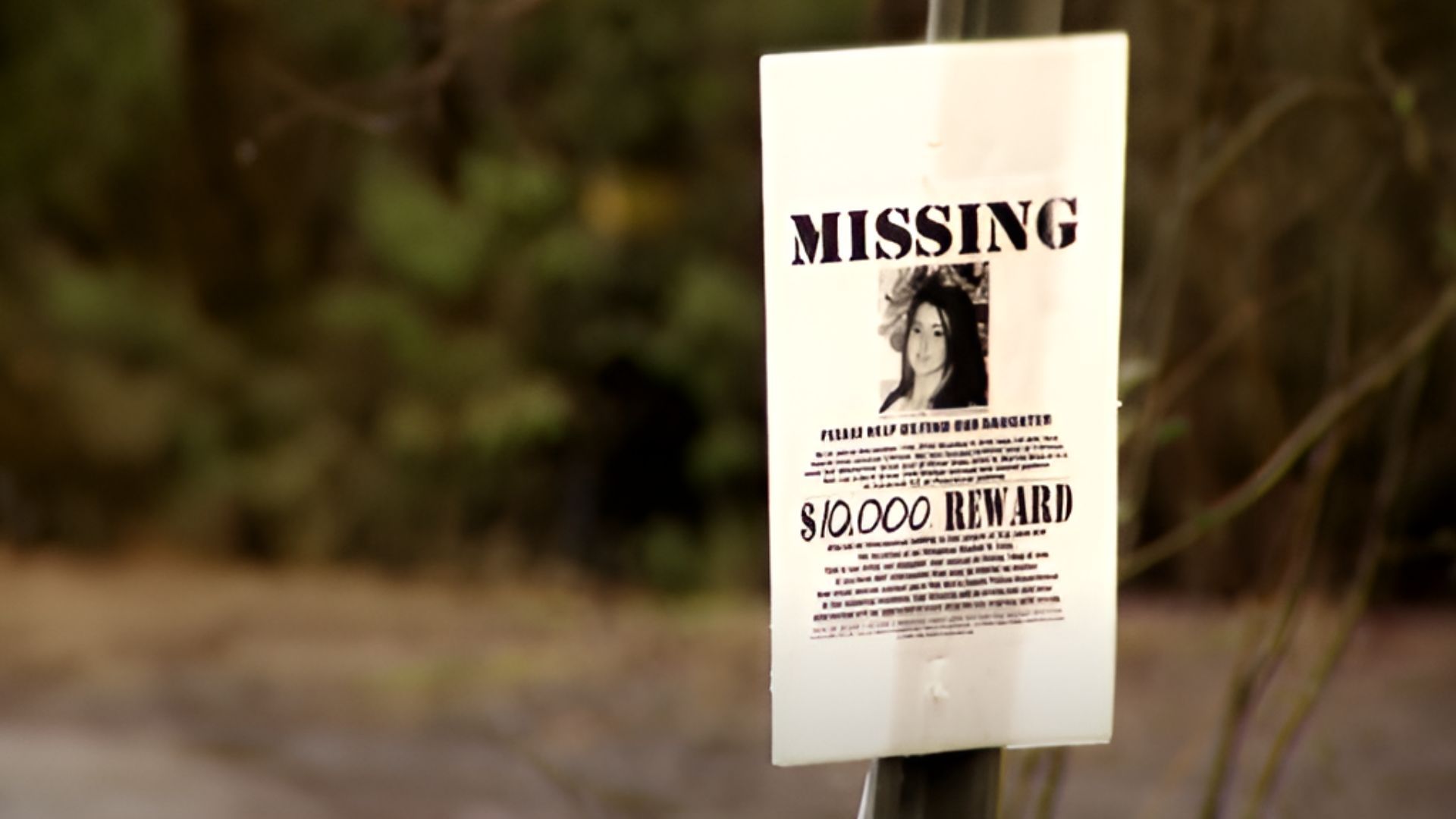 Heather Elvis missing poster (Image Via Youtube/@NBC)