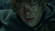 Samwise in The Lord of the Rings: The Return of the King (2003) | Image via: WingNut Film
