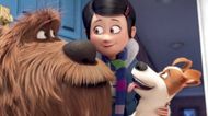 The Secret Life of Pets (2016) | Universal Pictures