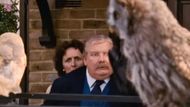 Dursleys receiving too many owl posts | Image Via: Warner Bros. Pictures
