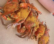 Blue Crabs Maryland Style (Image via Instagram/@itsmeal_ertime)