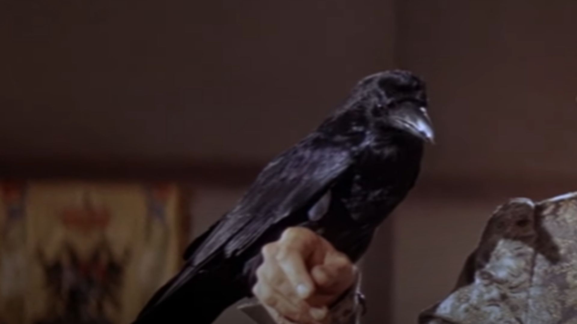 Still from the Movie Raven (Image via YouTube/@Amazon MGM Studios)