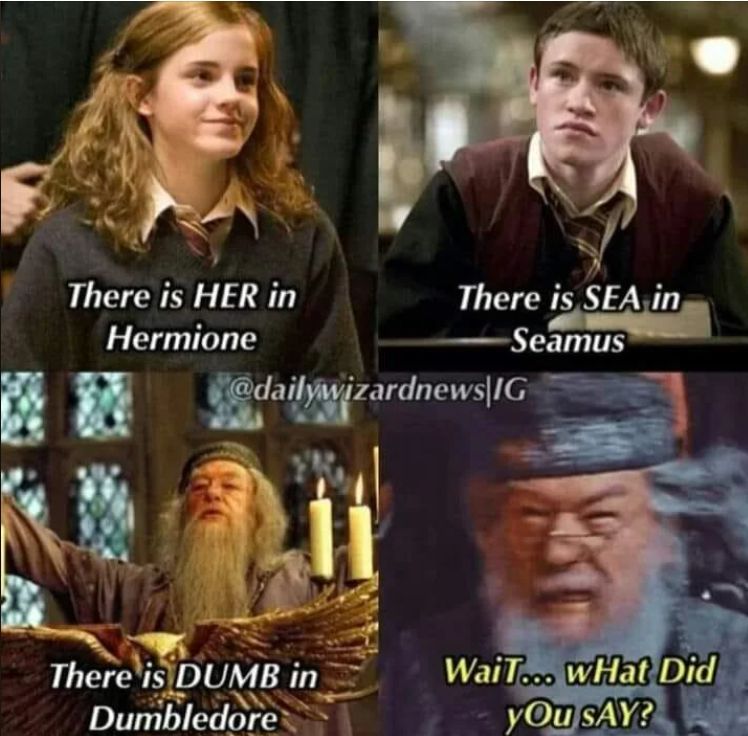 Harry Potter memes