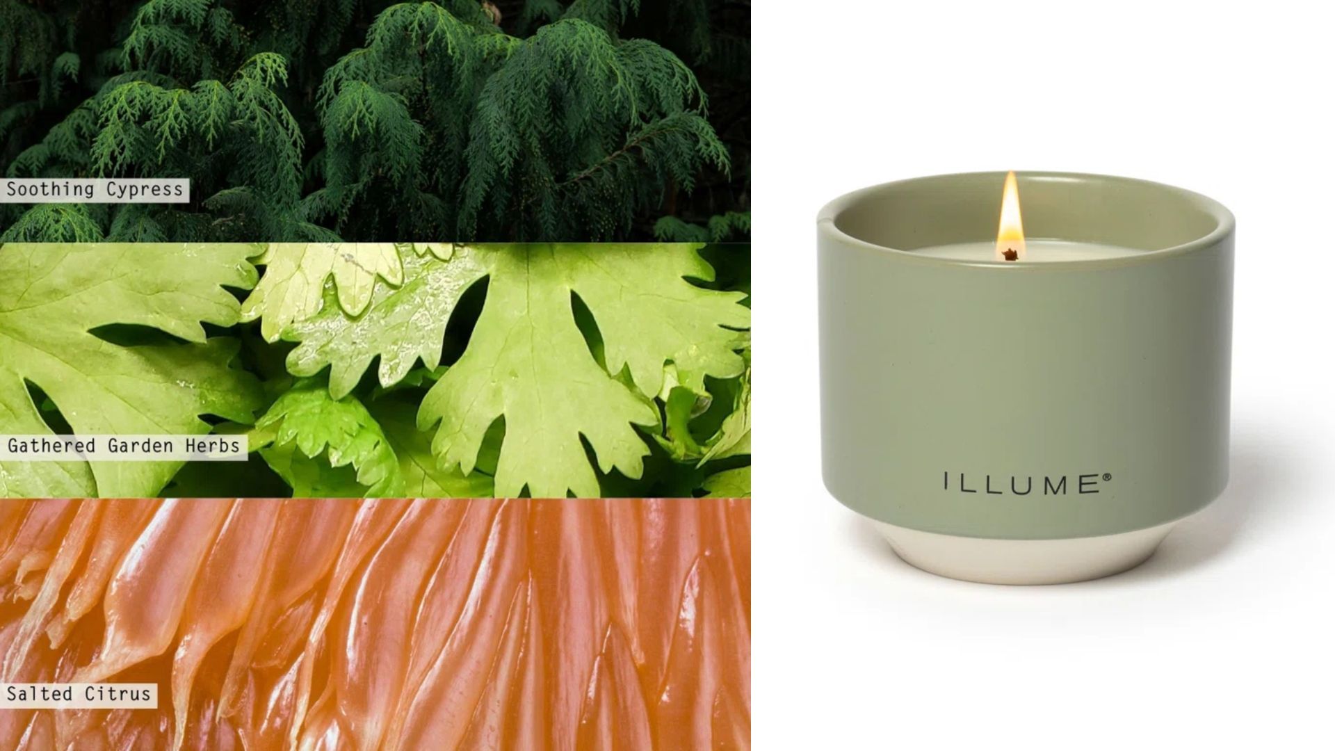 ILLUME Beautifully Done Hinoki Sage Soy Candle (Image via Wayfair)