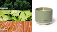 ILLUME Beautifully Done Hinoki Sage Soy Candle (Image via Wayfair)