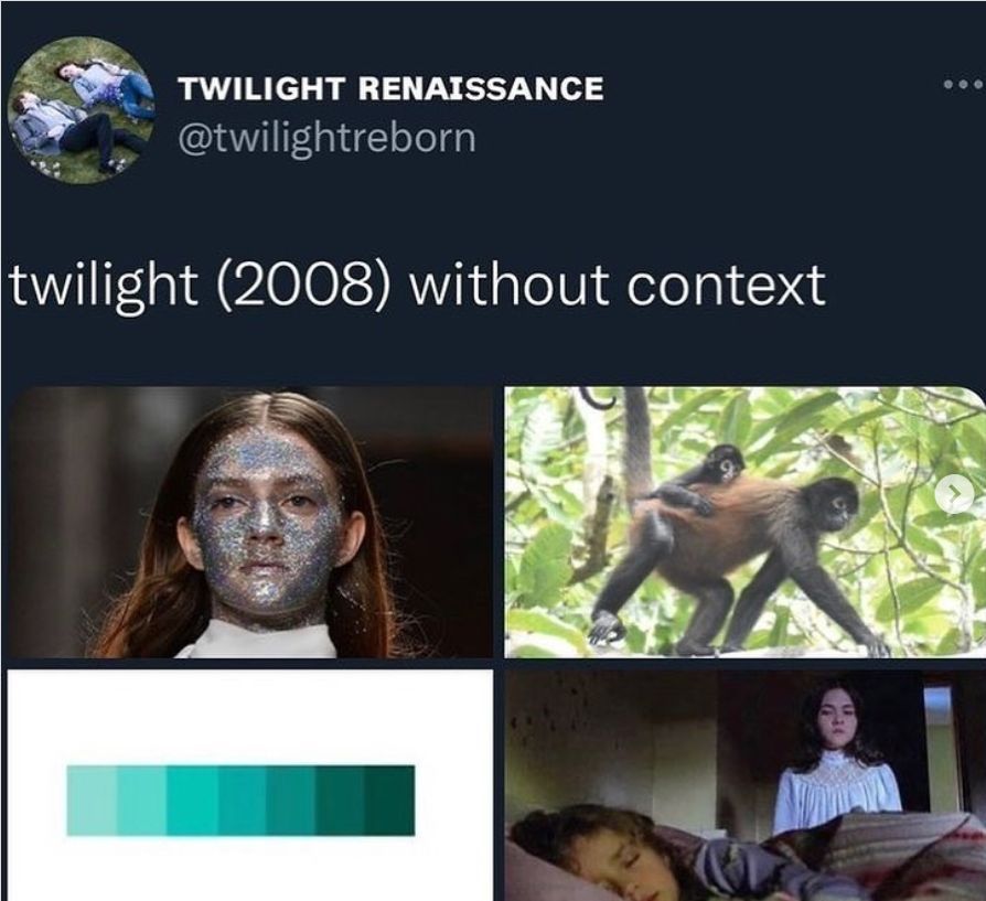 Twilight meme