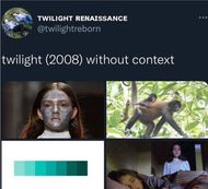 Twilight meme
