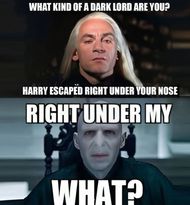 Harry Potter memes