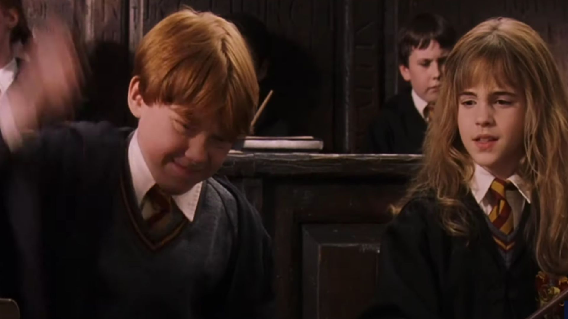 Ron Weasley and Hermione Granger | Image Via: Warner Bros. Pictures