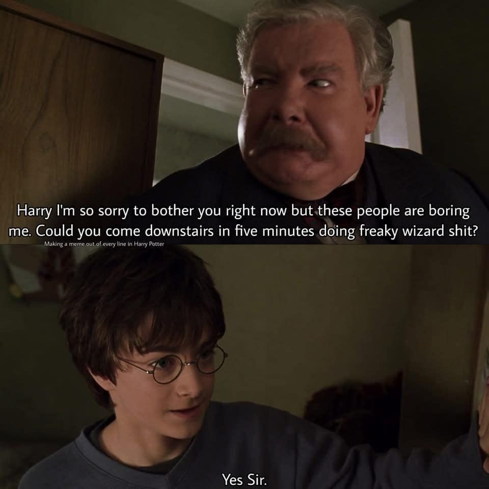 Harry Potter memes