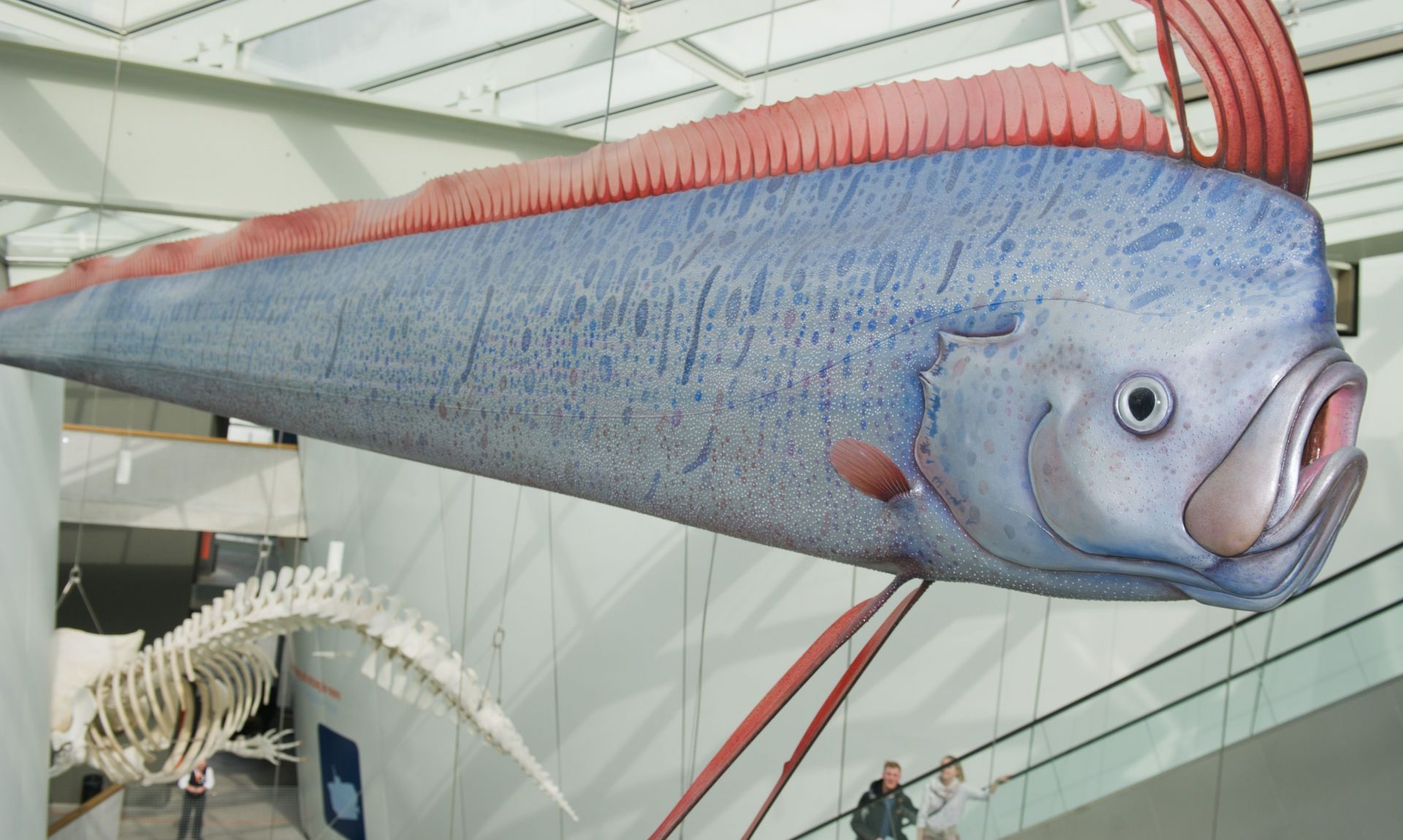 Five-millionth visitor of Stralsund Ozeaneum - Source: Getty