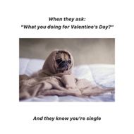 Valentine's Day Memes